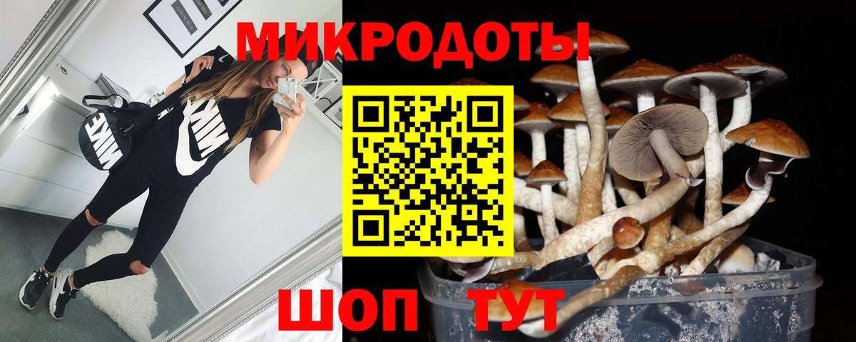 Алексин  Псилоцибиновые грибы Cubensis  Галлюциногенные грибы MAGIC MUSHROOMS  Вход с VPN 